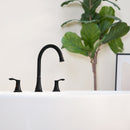 PARLOS 2-Handle Widespread High Arc Roman Tub Faucet Tub Filler with Valve & Faucet Supply Lines, Matte Black, Demeter 1436204