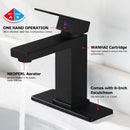 EZANDA Brass Single-Handle Bathroom Sink Faucet with Escutcheon, Pop Up Drain Stopper & Water Supply Hoses, Matte Black (14253)