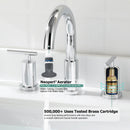 Parlos Two Handles 8 inch Widespread Three Hole Bathroom Sink Faucet Supply Hoses Basin Faucet Mixer Tap Chrome 1433101