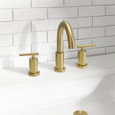 Parlos Two Handle 8 inch Widespread Three Hole Bathroom Sink Faucet Supply Hoses Basin Faucet Mixer Tap Brushed Nickel（1433108）