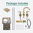 Parlos Two Handle 8 inch Widespread Three Hole Bathroom Sink Faucet Supply Hoses Basin Faucet Mixer Tap Brushed Nickel（1433108）