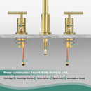 Parlos 8 inch Widespread Bathroom Sink Faucet 2-Handle Brushed Gold with All Metal Pop-up Drain & Faucet Supply Lines(1434108)