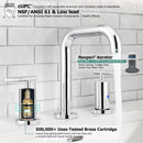 PARLOS Widespread 8 inch Bathroom Sink Faucet 3 Hole Vanity Faucet with cUPC Faucet Supply Lines, Chrome, 1.2GPM, 1437501PD