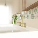 PARLOS 2-Handle Widespread 8 inch Bathroom Sink Faucet 3 Hole Vanity Faucet with cUPC Faucet Supply Lines, Brushed Gold, 1.2GPM, 1437608PD
