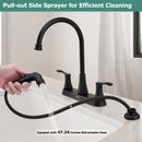 PARLOS 8 Inch Two Handles High Arch Kitchen Sink Faucet with Side Sprayer & Supply Lines, Matte Black, Demeter 1413804