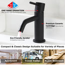EZANDA Brass Single Handle Bathroom Faucet with Pop-up Sink Drain Assembly & Faucet Supply Lines, Matte Black (1431104)