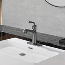 Newater Single Handle Bathroom Sink Faucet with Pop Up Drain, Deck Plate and Cupc Water Supply Lines, Black Stainless, 7002051