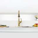 NEWATER Single Handle Pull Down Kitchen Faucet with Deck Plate & Supply Lines, Brushed Gold, 9001041