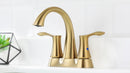 PARLOS 2-Handle Bathroom Sink Faucet with Drain assembly and Water Supply Hose, Brushed Gold, Demeter (1362508)