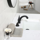 PARLOS Widespread Two Handles Bathroom Sink Faucet Matte Black (1435004PD)
