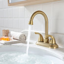 PARLOS Two-Handle Bathroom Sink Faucet Metal Drain Assembly Supply Hose Mixer Double Handle Tap Laundry Brushed Gold, 1359108