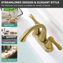 PARLOS 2-Handle Bathroom Sink Faucet with Drain assembly and Water Supply Hose, Brushed Gold, Demeter  1362508P