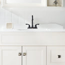 PARLOS Two-Handle Bathroom Sink Faucet with Metal Drain Assembly and Supply Hose Lead-Free cUPC Mixer Double Handle Tap Laundry Utility Faucet, Oil Rubbed Bronze, 1.2 GPM (13592P)