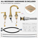 PARLOS Widespread Double Handles Bathroom Faucet with Metal Pop Up Drain and cUPC Faucet Supply Lines, Brushed Gold, 1.2 GPM (1365108P)