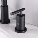 NEWATER Two Handle 8 inch Widespread Three Hole Bathroom Sink Faucet Supply Hoses Basin Faucet Mixer Tap Matte Black CWF030-MB